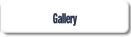 Gallery.