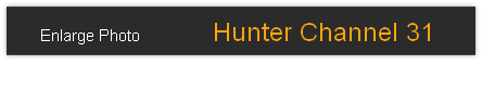 Enlarge Photo          Hunter Channel 31   